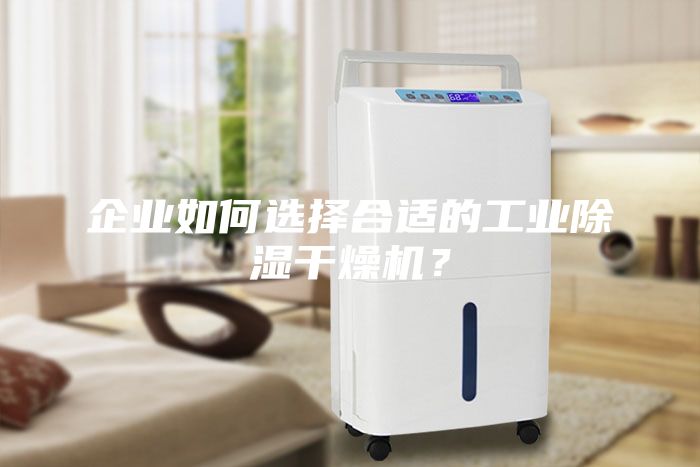 企业如何选择合适的工业除湿干燥机？