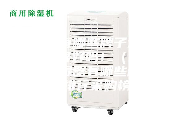 抽湿器有哪些牌子这些品牌效果很好吗！（朽木难雕的抽湿器有哪些牌子品牌排行采购榜）