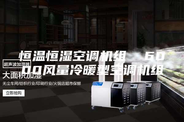 恒温恒湿空调机组  6000风量冷暖型空调机组