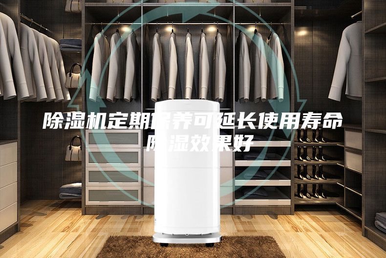 除湿机定期保养可延长使用寿命 除湿效果好