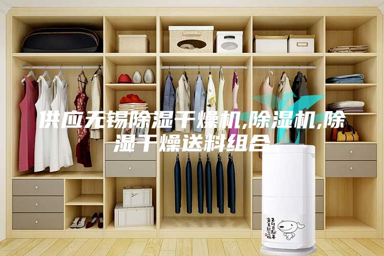 供应无锡除湿干燥机,除湿机,除湿干燥送料组合