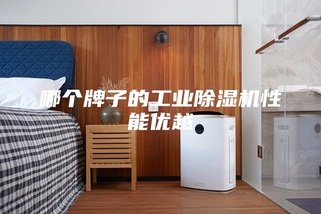 哪个牌子的工业除湿机性能优越