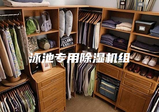 泳池专用除湿机组