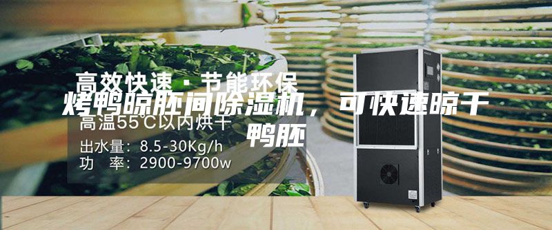 烤鸭晾胚间除湿机，可快速晾干鸭胚
