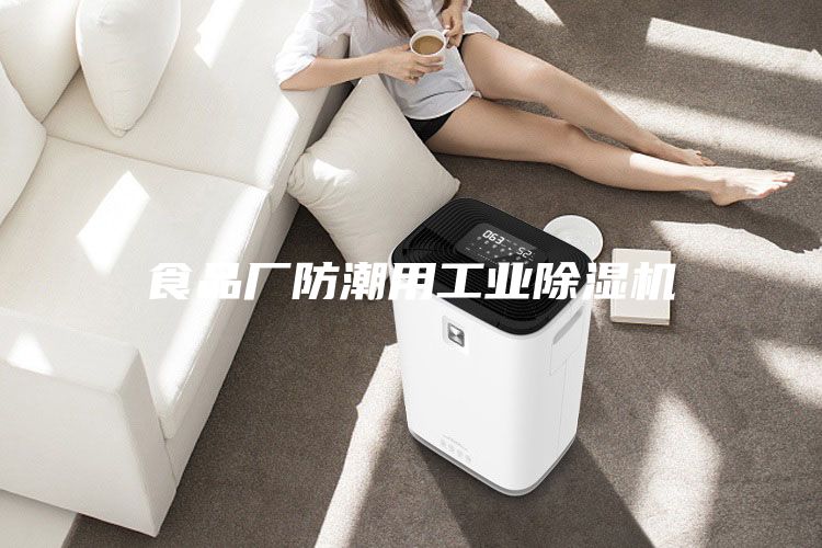 食品厂防潮用工业除湿机