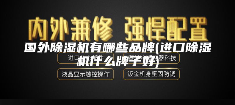 国外除湿机有哪些品牌(进口除湿机什么牌子好)