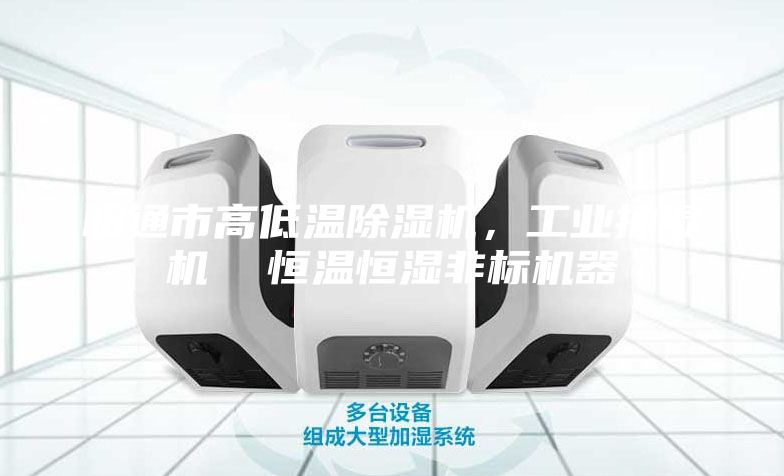 昭通市高低温除湿机，工业抽湿机  恒温恒湿非标机器