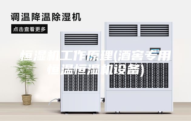 恒湿机工作原理(酒窖专用恒温恒湿机设备)