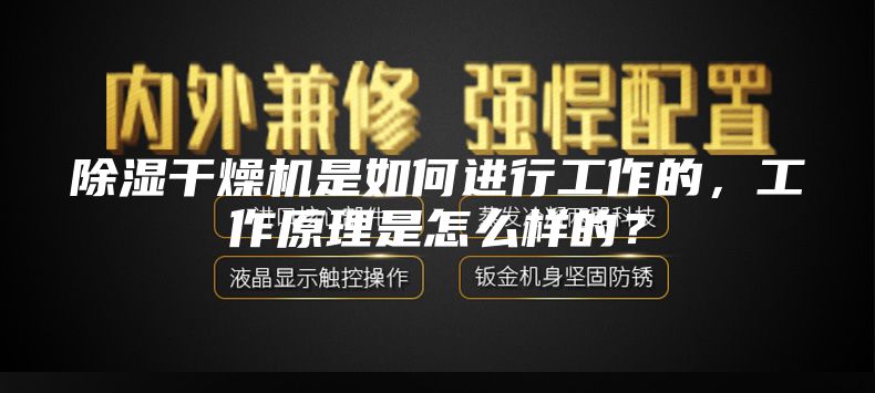 除湿干燥机是如何进行工作的，工作原理是怎么样的？