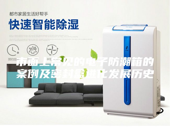 市面上常见的电子防潮箱的案例及密封盒进化发展历史