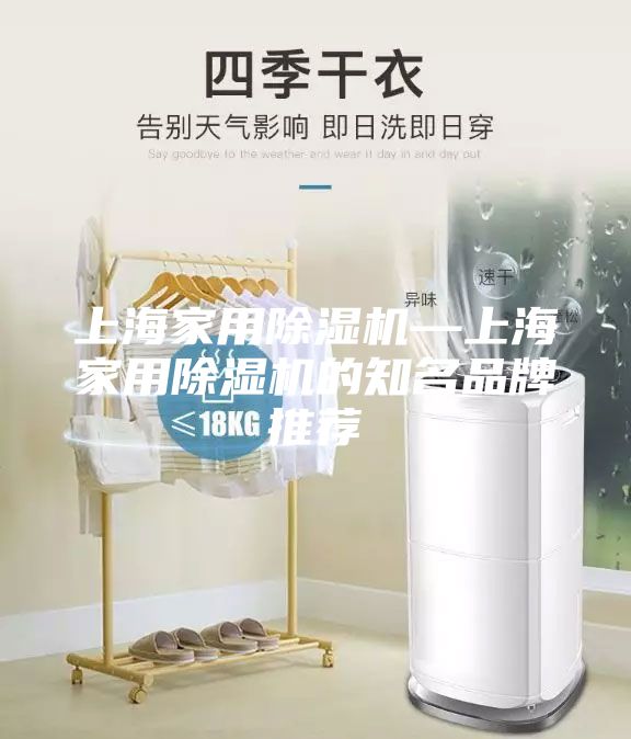 上海家用除湿机—上海家用除湿机的知名品牌推荐