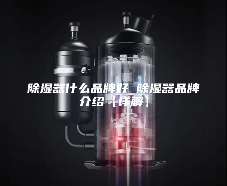 除湿器什么品牌好 除湿器品牌介绍【详解】