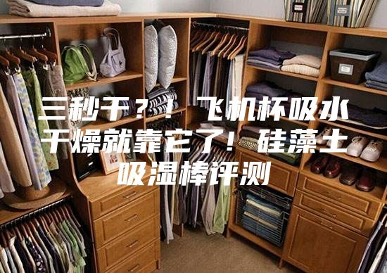 三秒干？! 飞机杯吸水干燥就靠它了! 硅藻土吸湿棒评测