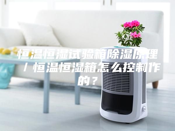 恒温恒湿试验箱除湿原理／恒温恒湿箱怎么控制作的？