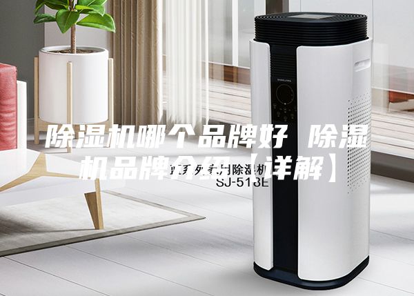 除湿机哪个品牌好 除湿机品牌介绍【详解】
