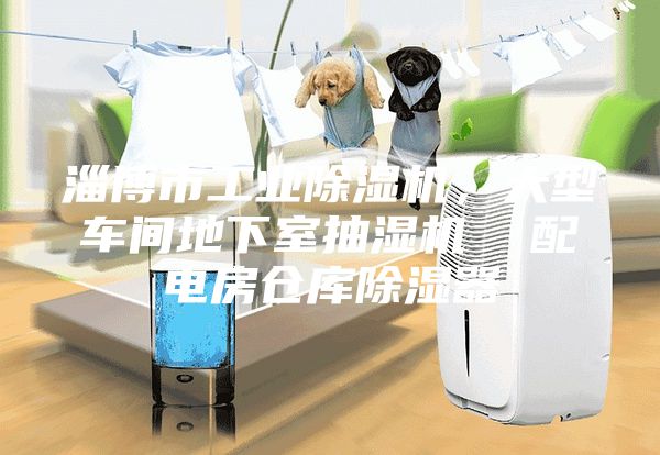 淄博市工业除湿机，大型车间地下室抽湿机  配电房仓库除湿器