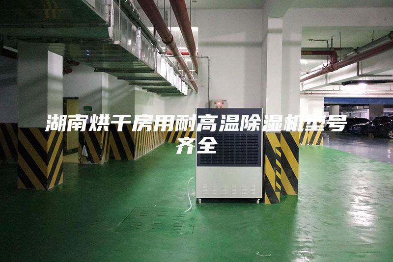 湖南烘干房用耐高温除湿机型号齐全