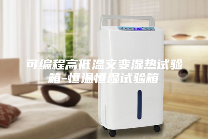 可编程高低温交变湿热试验箱-恒温恒湿试验箱