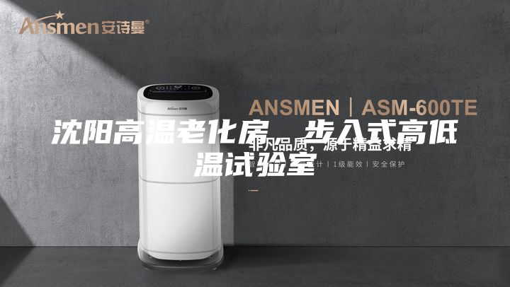 沈阳高温老化房，步入式高低温试验室