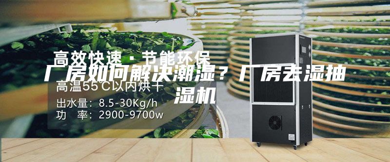 厂房如何解决潮湿？厂房去湿抽湿机