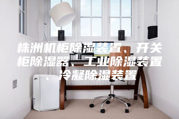 株洲机柜除湿装置、开关柜除湿器、工业除湿装置、冷凝除湿装置