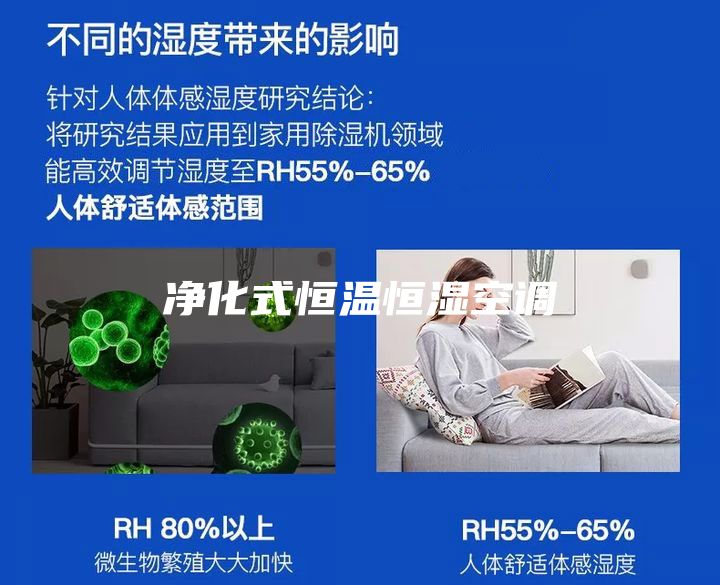 净化式恒温恒湿空调