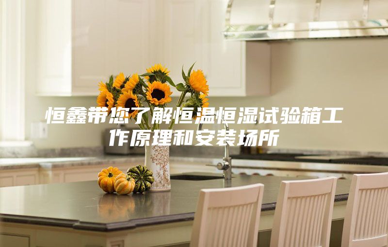 恒鑫带您了解恒温恒湿试验箱工作原理和安装场所