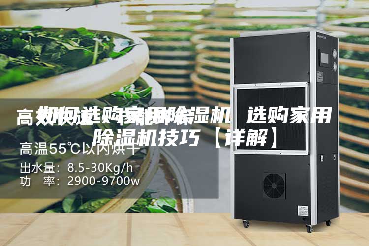 如何选购家用除湿机 选购家用除湿机技巧【详解】