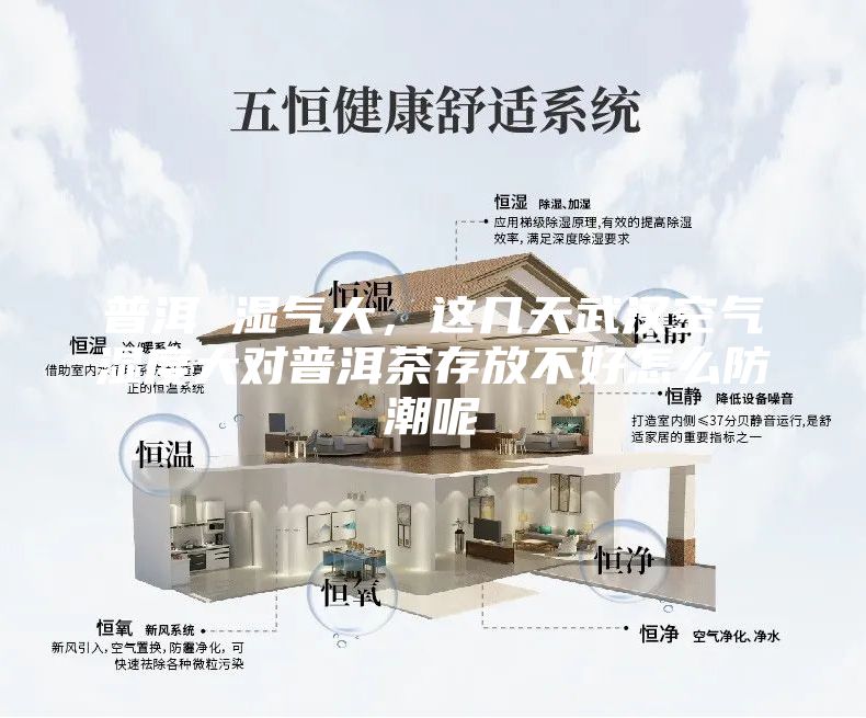 普洱 湿气大，这几天武汉空气湿度大对普洱茶存放不好怎么防潮呢