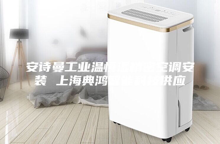 安诗曼工业温恒湿精密空调安装 上海典鸿智能科技供应