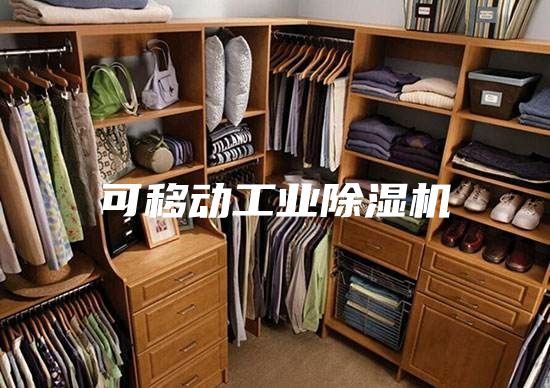 可移动工业除湿机