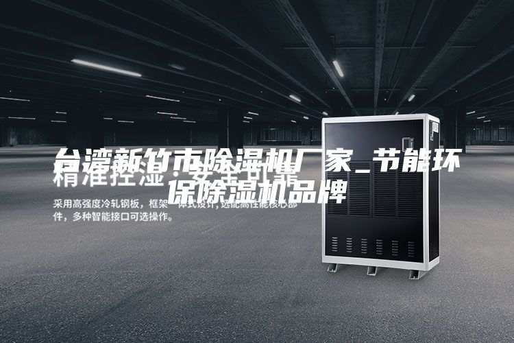 台湾新竹市除湿机厂家_节能环保除湿机品牌