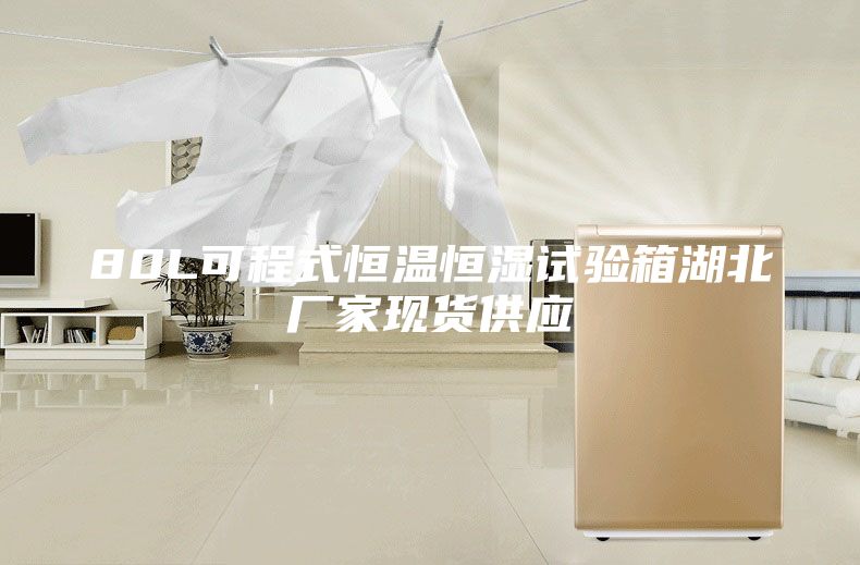 80L可程式恒温恒湿试验箱湖北厂家现货供应
