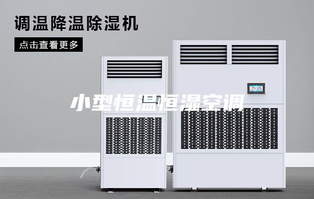 小型恒温恒湿空调