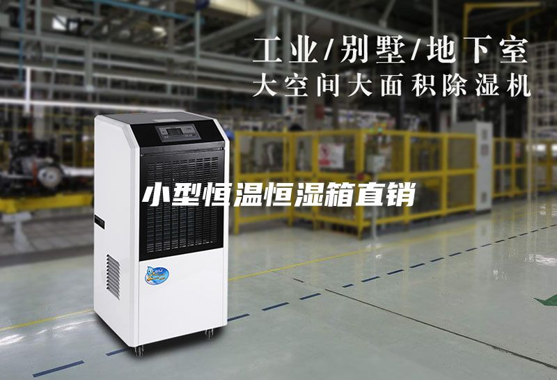 小型恒温恒湿箱直销