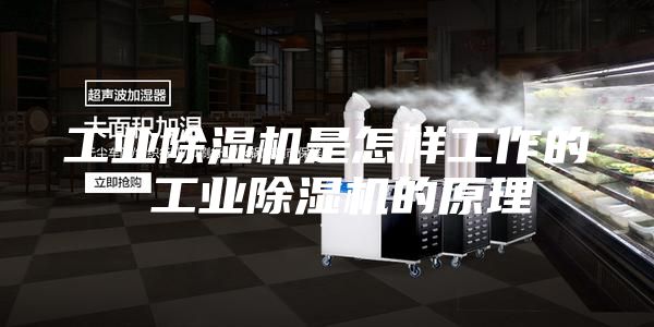 工业除湿机是怎样工作的 工业除湿机的原理
