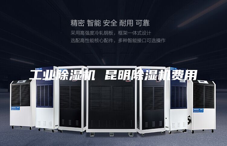 工业除湿机 昆明除湿机费用