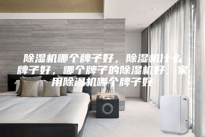 除湿机哪个牌子好，除湿机什么牌子好，哪个牌子的除湿机好，家用除湿机哪个牌子好