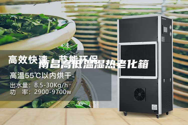 南昌高低温湿热老化箱