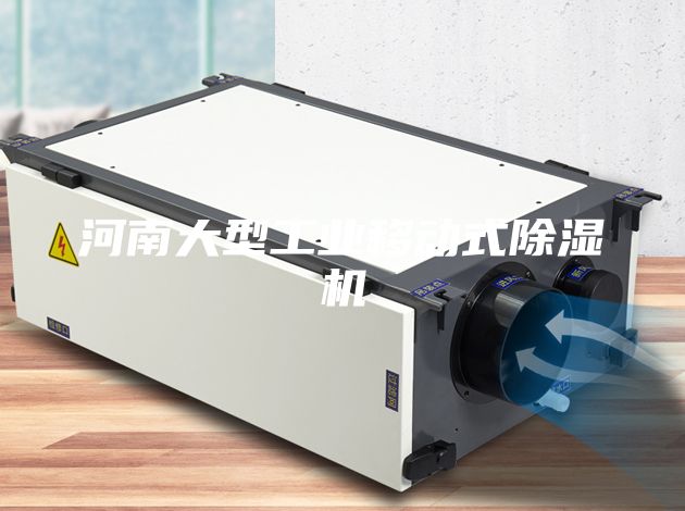 河南大型工业移动式除湿机