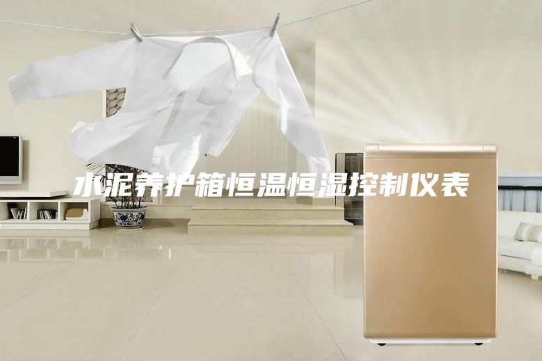 水泥养护箱恒温恒湿控制仪表