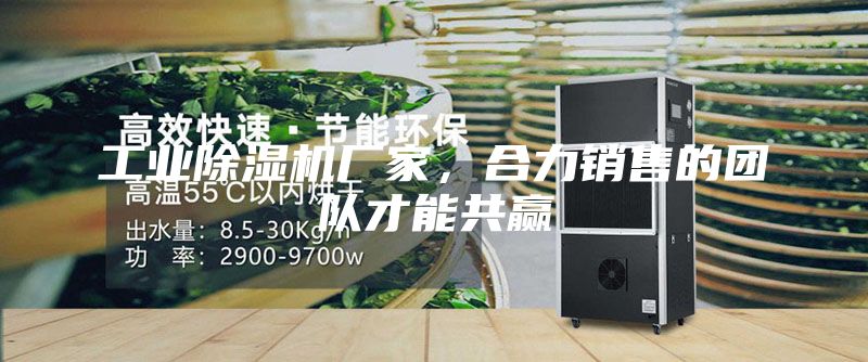工业除湿机厂家，合力销售的团队才能共赢