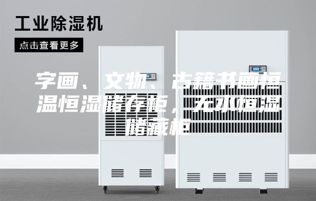 字画、文物、古籍书画恒温恒湿储存柜，无水恒湿储藏柜