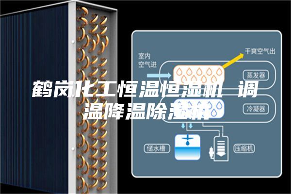 鹤岗化工恒温恒湿机 调温降温除湿机
