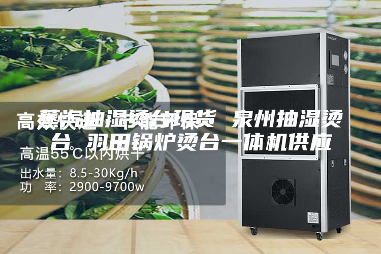 蒸汽抽湿烫台现货 泉州抽湿烫台 羽田锅炉烫台一体机供应