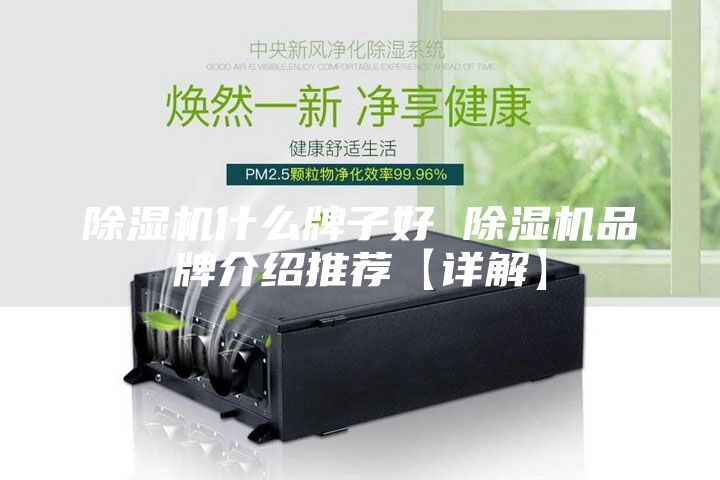 除湿机什么牌子好 除湿机品牌介绍推荐【详解】