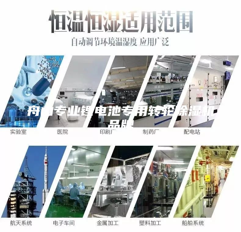 舟山专业锂电池专用转轮除湿机品牌