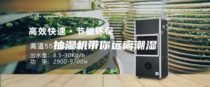 抽湿机带你远离潮湿