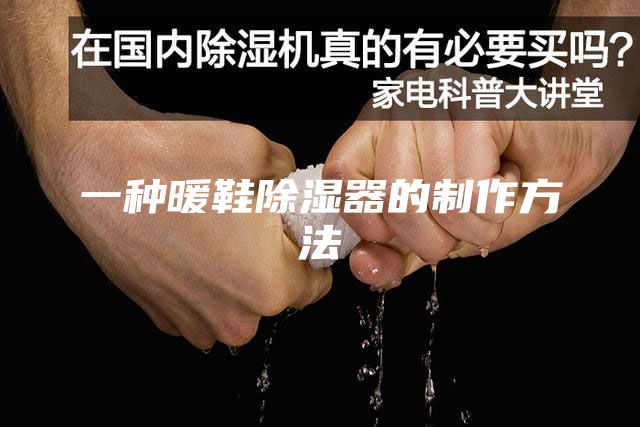 一种暖鞋除湿器的制作方法