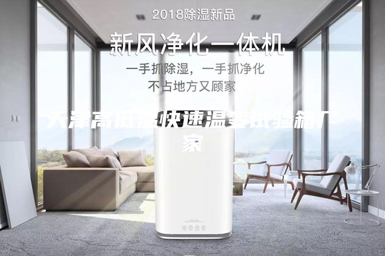 天津高低温快速温变试验箱厂家